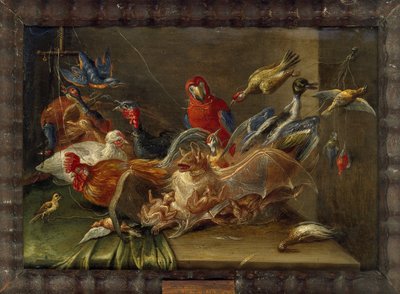 Decoratieve stillevencompositie met vogels en twee vleermuizen door Jan van Kessel the Elder